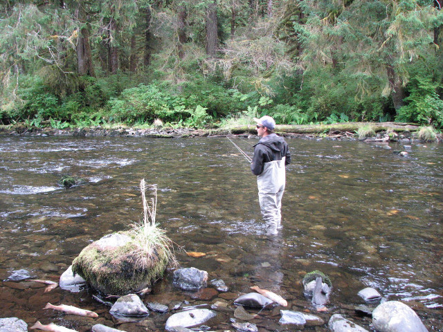 Man standing river fishing rod free wallpaper - medium preview image