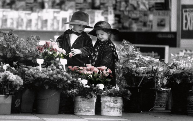 Man girl flower stand buckets free wallpaper - medium preview image