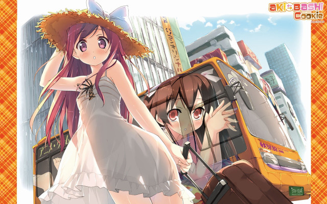 Woman dress hat bus man free wallpaper - medium preview image
