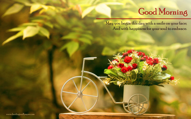 Small bicycle flowers vase morning free wallpaper - medium preview image