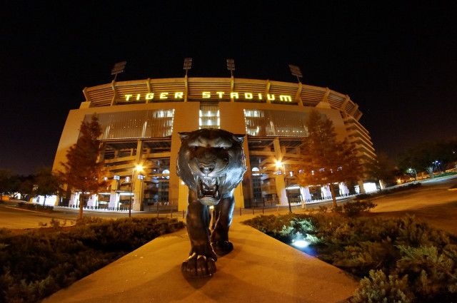 Tiger statue stadium night lights free wallpaper - medium preview image