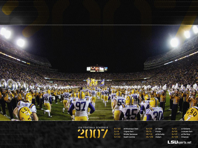 Football stadium crowd field lights free wallpaper - medium preview image