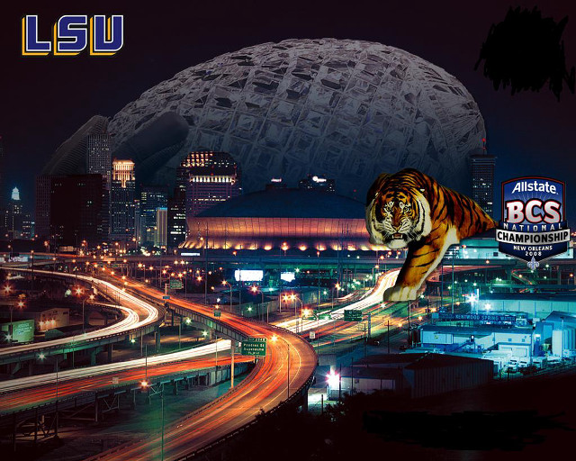 Tiger walking city night ball free wallpaper - medium preview image