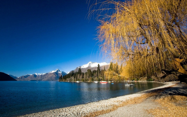 Lake tree boat mountains snow free wallpaper - medium preview image