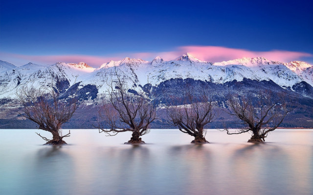 Trees water mountains snow pink free wallpaper - medium preview image
