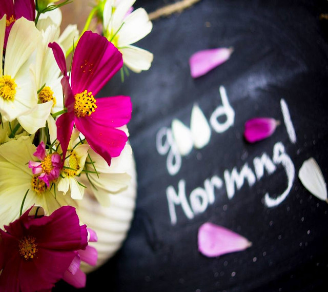 Vase flowers table chalkboard good free wallpaper - medium preview image