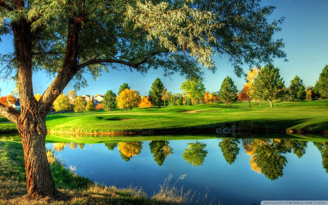 Golf course pond trees green #2 free wallpaper - medium preview image