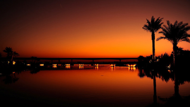 Sunset palm trees bridge reflection free wallpaper - medium preview image