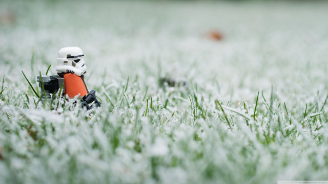 Toy stormtrooper grass frisbee bird free wallpaper - medium preview image