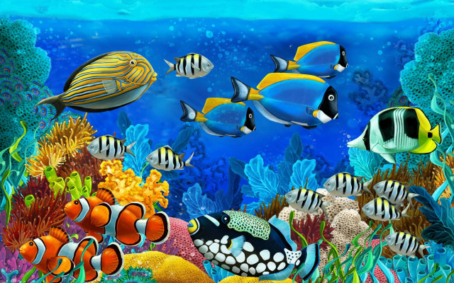 Sea life scene fish corals free wallpaper - medium preview image