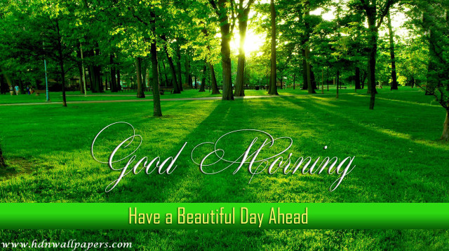 Green field trees grass good free wallpaper - medium preview image