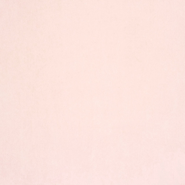 White wall black white cat #4 free wallpaper - medium preview image