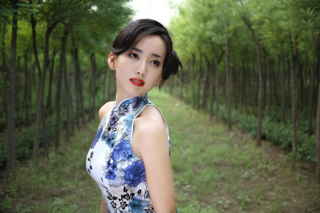Woman dress forest trees path #2 free wallpaper - medium preview image
