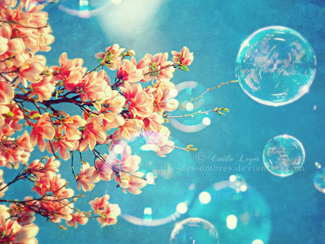Bubbles tree branch flowers blue free wallpaper - medium preview image