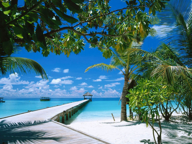 Pier beach boat palm trees free wallpaper - medium preview image