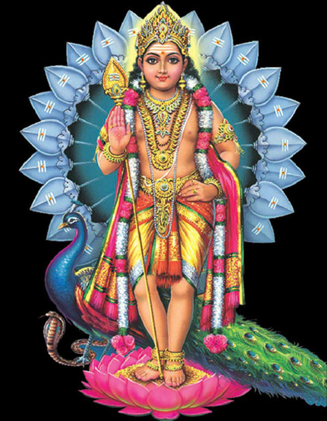 Hindu god peacock lotus flower free wallpaper - medium preview image
