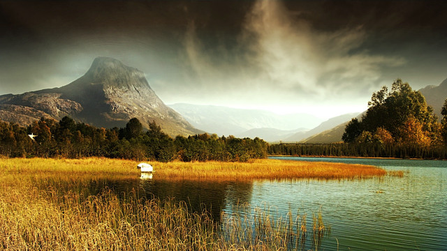 Lake grass mountains bird flying free wallpaper - medium preview image