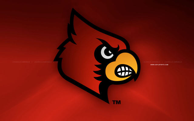 Red black logo yellow bird free wallpaper - medium preview image