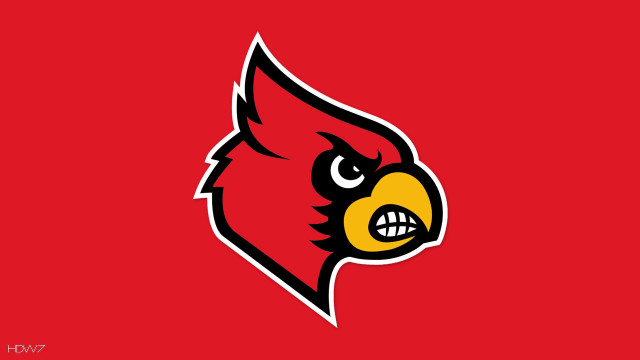 Red black cardinal yellow beak free wallpaper - medium preview image