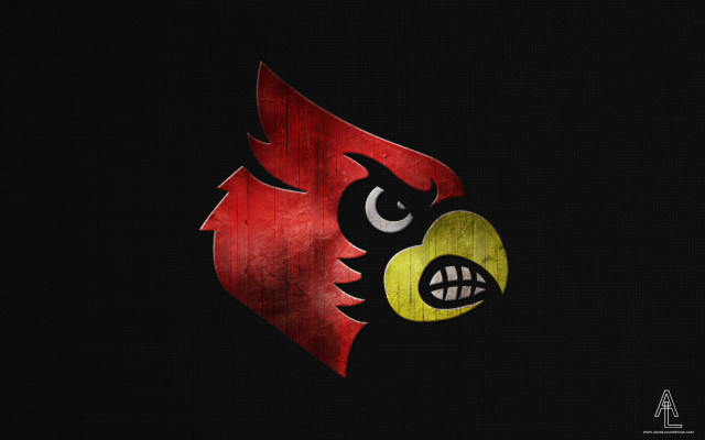 Red bird yellow beak black free wallpaper - medium preview image