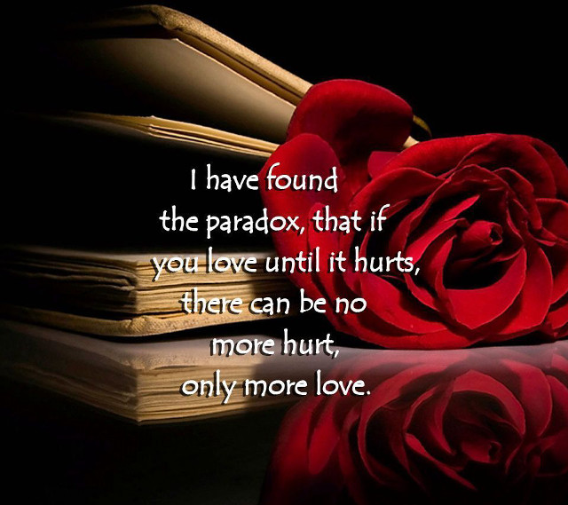 Red rose table book quote #2 free wallpaper - medium preview image