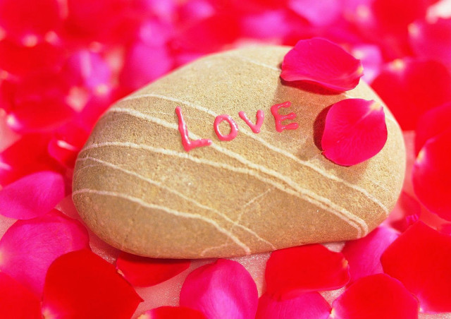 Rock heart love petals pink free wallpaper - medium preview image