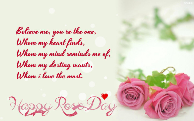 Pink roses table message written free wallpaper - medium preview image