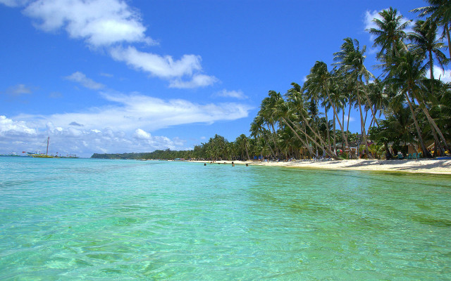 Tropical beach palm trees boat free wallpaper - medium preview image