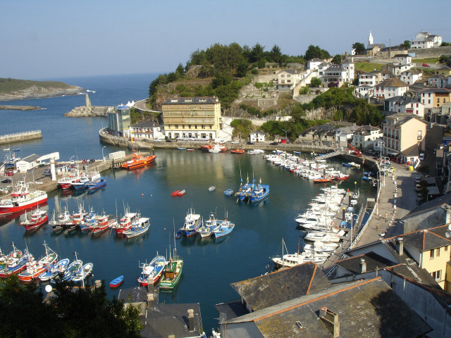 Harbor boats hillside trees buildings free wallpaper - medium preview image