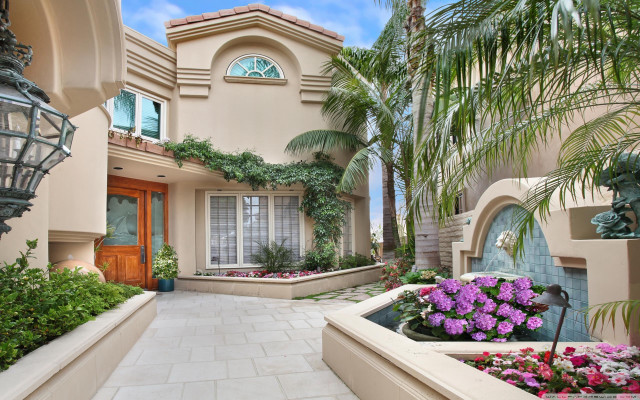 House plants flowers yard light free wallpaper - medium preview image