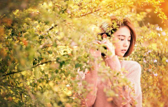 Woman talking cellphone field trees free wallpaper - medium preview image