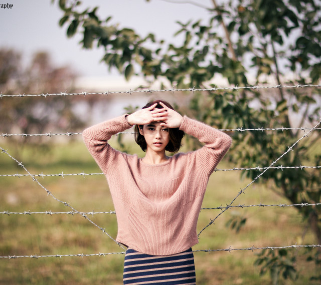 Pink sweater barbed wire blurry free wallpaper - medium preview image