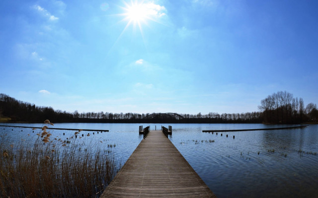 Dock lake sun water plants free wallpaper - medium preview image