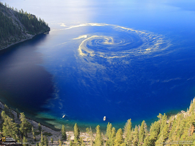 Lake forest spiral water surrounded free wallpaper - medium preview image