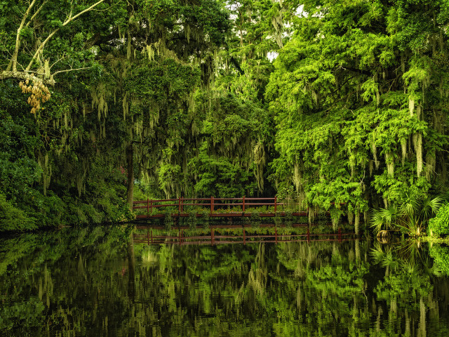 Bridge forest water red rail free wallpaper - medium preview image