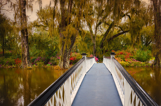 Bridge water trees flowers background free wallpaper - medium preview image