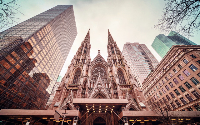 Cathedral tall buildings skyline foreground free wallpaper - medium preview image