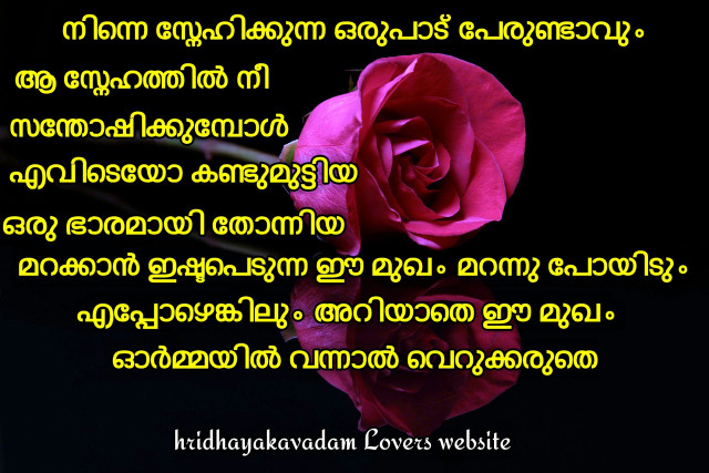 Pink rose poem dark background free wallpaper - medium preview image