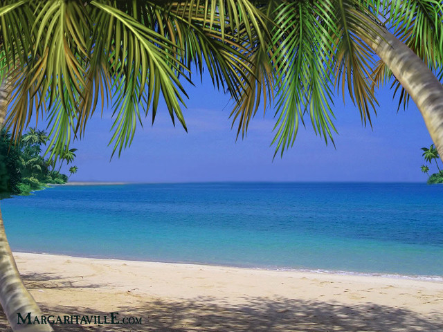 Beach palm tree blue ocean free wallpaper - medium preview image