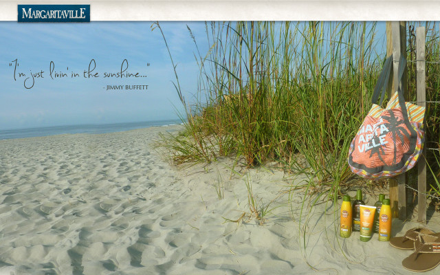 Beach lifeguards safety sunshine sand free wallpaper - medium preview image
