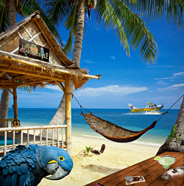 Blue parrot hammock beach boat free wallpaper - medium preview image