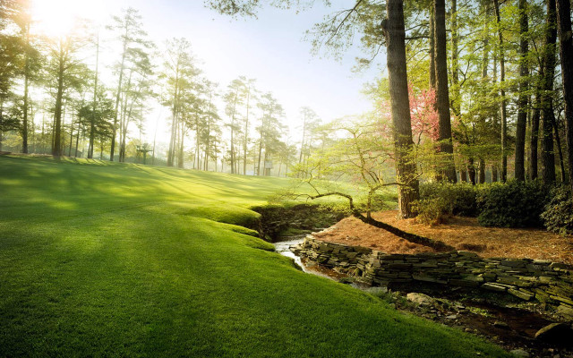 Green field stream trees sunlight free wallpaper - medium preview image