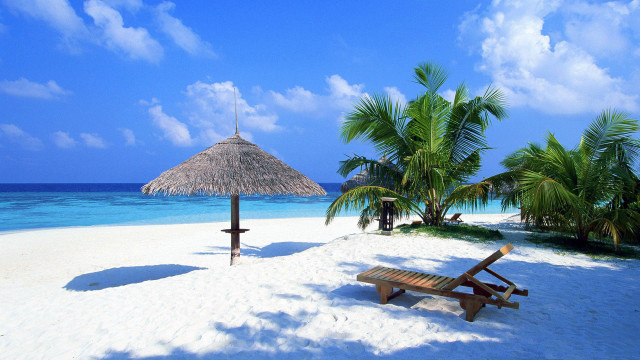 Beach palm umbrella sand sky free wallpaper - medium preview image