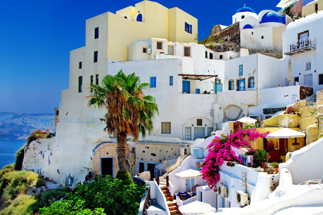White building palm tree blue free wallpaper - medium preview image