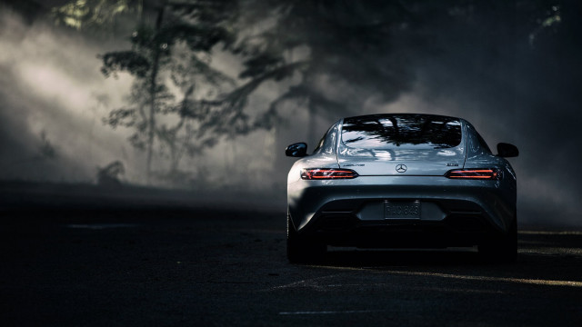 Car driving fog trees person free wallpaper - medium preview image