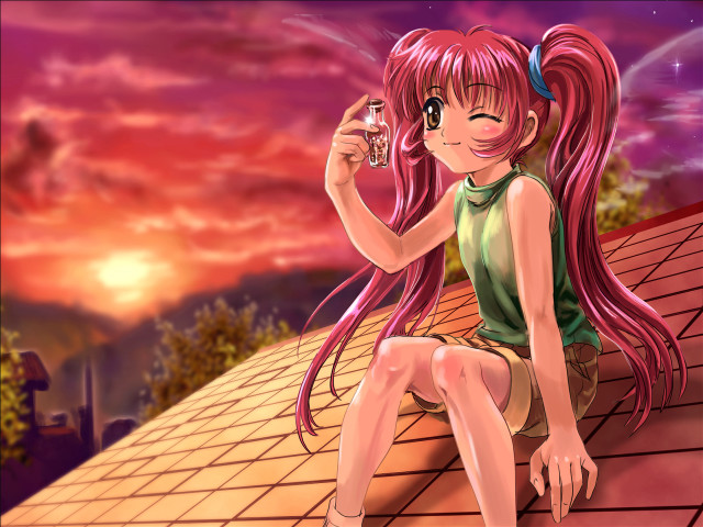 Girl roof wine sunset background free wallpaper - medium preview image