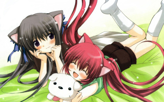 Anime girls bed cat teddy free wallpaper - medium preview image