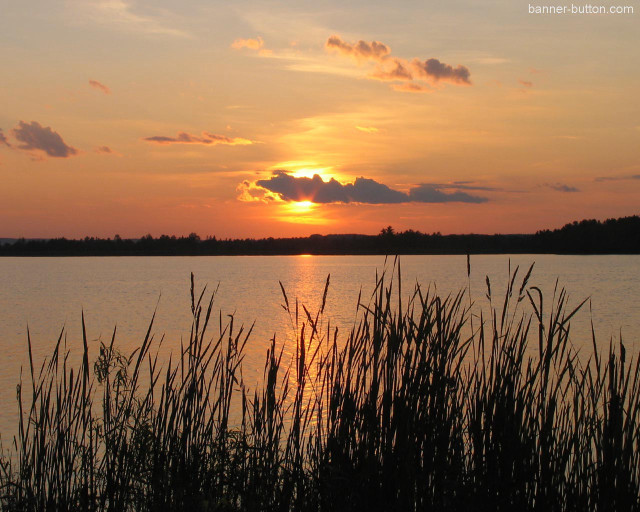 Sunset lake tallgrass clouds trees free wallpaper - medium preview image