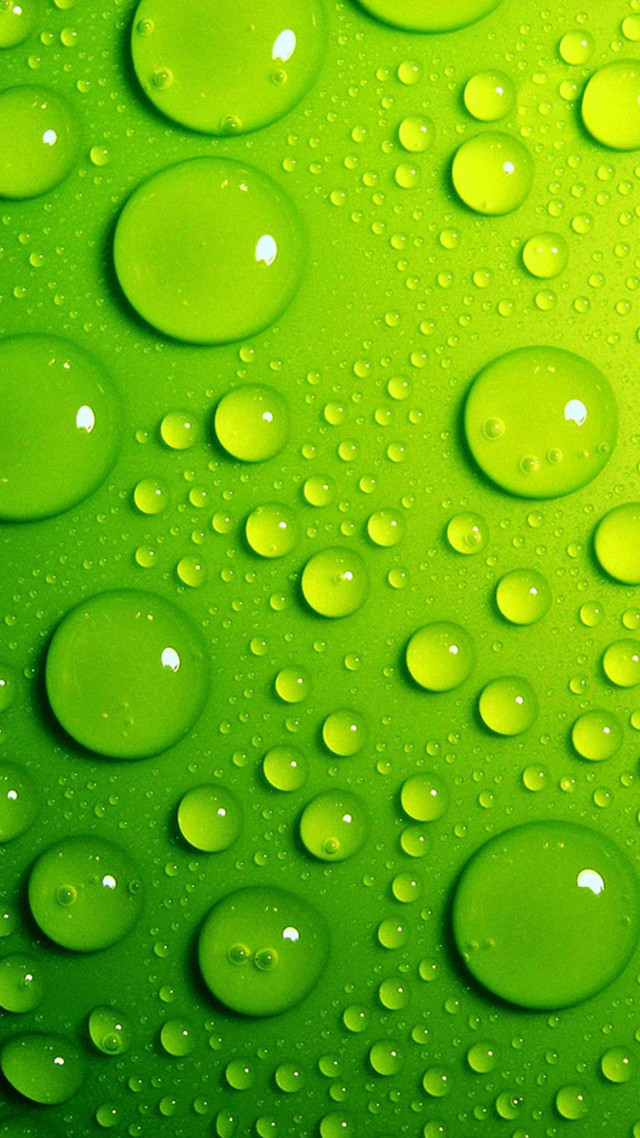 Green background water drops surface free wallpaper - medium preview image