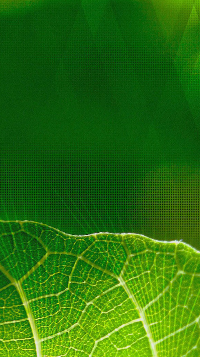 Green leaf microscopic 4k tennis free wallpaper - medium preview image
